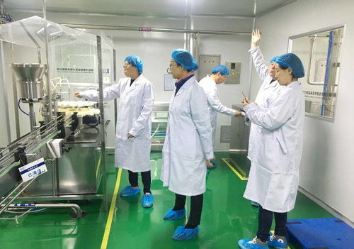 2021年中慈健康科技順利通過保健食品生產許可現場檢查 網絡技術賦能質量把控新里程碑